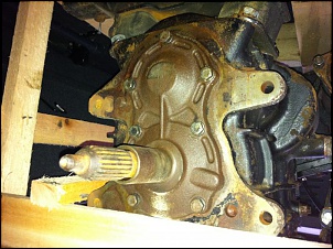 Engesa f1 87 (titanic)-img_1208.jpg