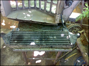 Pick-Up Bicuda 1951-251120112685.jpg