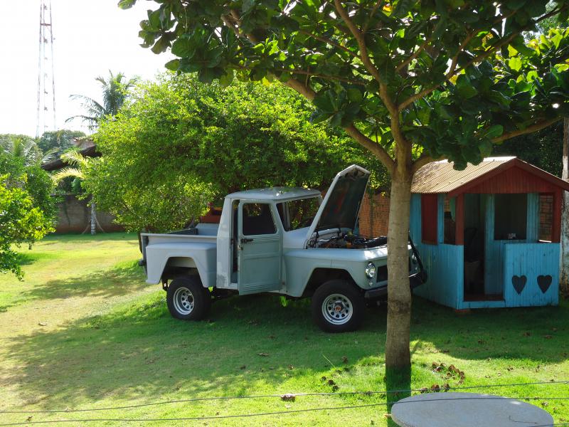 Pickup Willys 1966 - V8 272-dsc01236.jpg