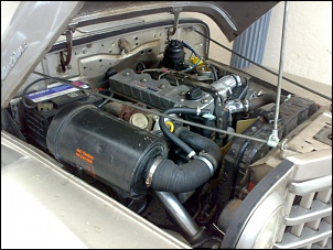 Pick-Up Bicuda 1951-311220112894.jpg