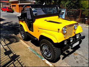 Cj 5 - 69-sam_0209.jpg