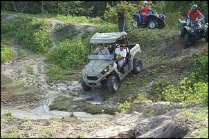 CROCODILLO. Jeep Full Size (Revista 4x4&amp;Cia ed 218 e 246)-quadri-reny.jpg