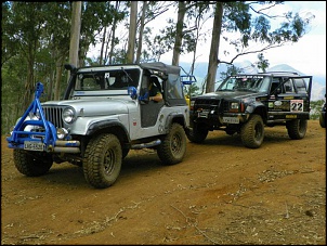 CJ 5 1977 Hakuna Matata-536613_428663297154151_100000314533156_20292046_1216145456_n.jpg