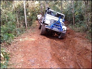 CJ 5 1977 Hakuna Matata-img_0564.jpg