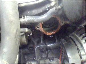 Toyota LandCruiser HDJ80 -  A Negona-19-11-11_131359.jpg