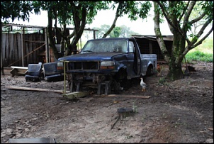 F1000 4x4 1997 - Sucatona + Branquinha-dsc_0328.jpg
