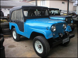 Ford Jeep CJ-5 '79 - &quot;Ramone&quot;-1_g_497.jpg