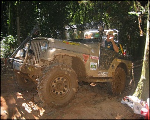 -pinheirinho__110__188.jpg