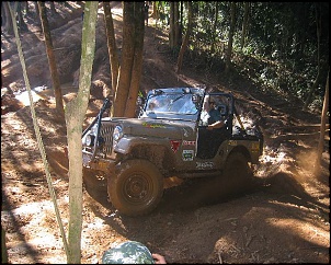 -pinheirinho__083__129.jpg