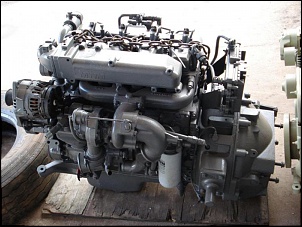 F1000 4x4 - Milona-motor-mwm-4cc-x12-eletronico.jpg