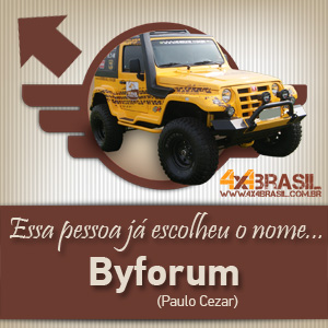 Troller 4x4Brasil - Carro Oficial-300x300pxls-01.jpg