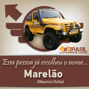 Troller 4x4Brasil - Carro Oficial-300x300pxls-03.jpg