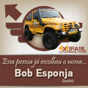 Troller 4x4Brasil - Carro Oficial-300x300pxls-05.jpg