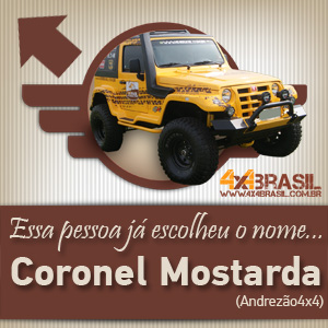 Troller 4x4Brasil - Carro Oficial-300x300pxls-04.jpg