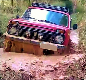 Lada Niva 4x4 - 1991 (A Skavurska!)-porteira1-copia-copia-2-.jpg