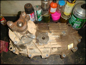 F1000 4x4 1997 - Sucatona + Branquinha-dsc06758.jpg