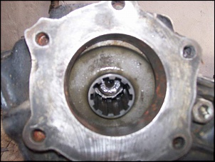 Engesa f1 - &quot;mulo&quot;-100_1781.jpg