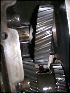 Engesa f1 - &quot;mulo&quot;-100_1784.jpg