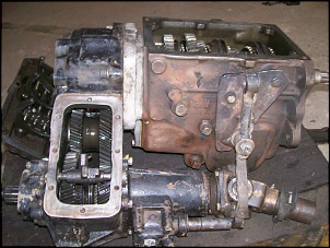 Engesa f1 - &quot;mulo&quot;-100_1783.jpg