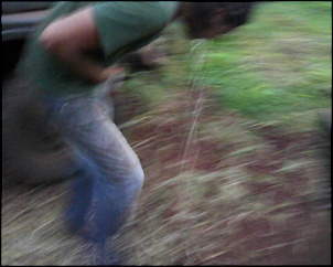 -img0250a.jpg