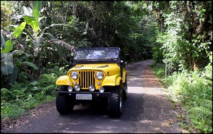 Cj 5 - 69-sam_1879.jpg