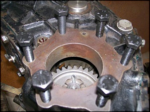 Engesa f1 - &quot;mulo&quot;-100_1948.jpg