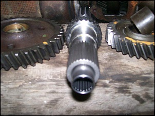 Engesa f1 - &quot;mulo&quot;-100_1790.jpg