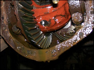 Engesa f1 - &quot;mulo&quot;-100_2000.jpg