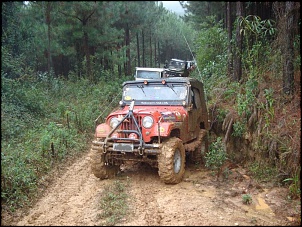 CJ5 RED LEGEND (ex Pomarola) EM REFORMA-imagem-20035-1-.jpg