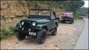 Jeep Willys 1962 &quot; Original&quot;-s73f0128.jpg