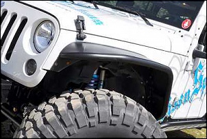 Troller 2000 Vortec 4.3L V6 - Taxi 37&quot;-10.jpg