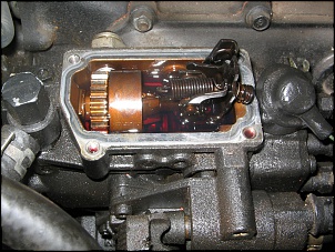Toyota LandCruiser HDJ80 -  A Negona-bi.jpg