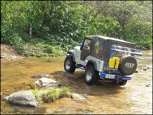 CJ 5 1977 Hakuna Matata-1234487_3429168066037_1740302546_n.jpg