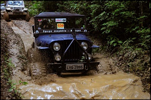 Cj-5 1972 - jubileu-190175_117903205041519_1531459778_n.jpg