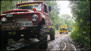 Willys Cj3-B Mexidinho-s73f1634.jpg