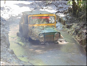 Willys Cj3-B Mexidinho-1620864_463100670487269_1907533561669316161_n.jpg