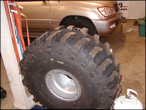 CJ 58' &quot;Devasso&quot;-grooved_bogger_181.jpg