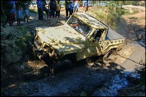 F75 82- Movalda-movalda-sjb1.jpg