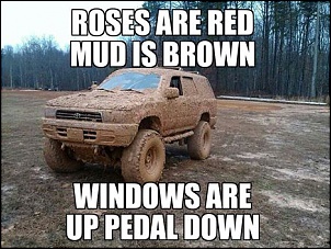 F1000 4x4 - Milona-roses-mud.jpg