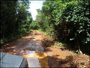 Frontier 2010 - The Black Ship-pantanal3_zps177e3ff4.jpg