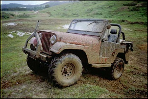 Jeep CJ5 1968 - TEIMOSO-raid_de_casal_2004_029.jpg