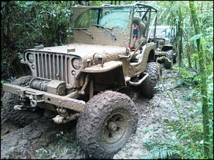 Willys - Maestro-wp_002932.jpg