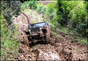 Flatty Willys - MB 1942 - V8 5.0L-4.jpg