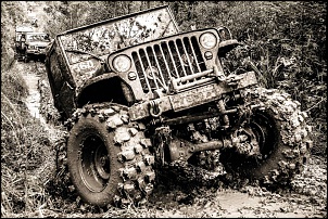 Flatty Willys - MB 1942 - V8 5.0L-5.jpg