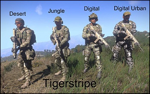 JAVALI em reta quase final de acabamento-tigerstripe.jpg