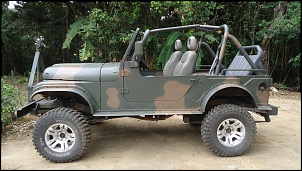 Cherojeep - o coisa - alma de willys 1956-dsc04068.jpg
