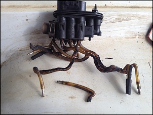 Troller 2000 Vortec 4.3L V6 - Taxi 37&quot;-img_7644.jpg