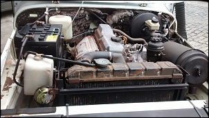 MAMUTE - Bandeirante CD-mamute-24.jpg