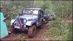 Jeep 4 x 4 CJ5 1958 - TRANCA TRILHA-trilha-7.jpg