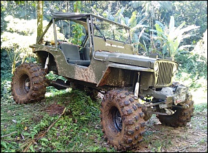 Flatty Willys - MB 1942 - V8 5.0L-img_20150829_112301293.jpg